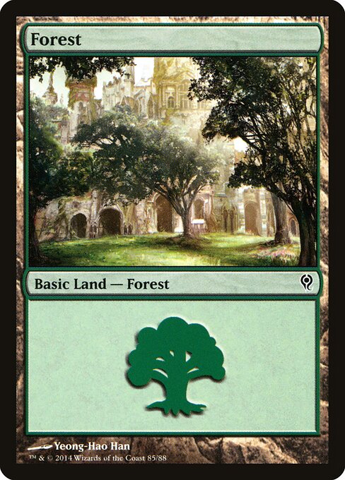 Forest 85