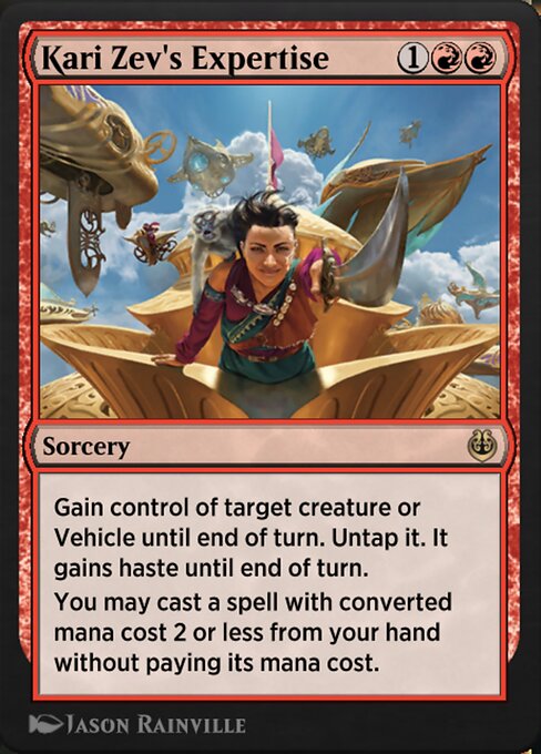 Kari Zev's Expertise 134