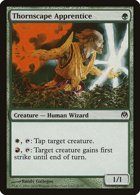 Thornscape Apprentice 37