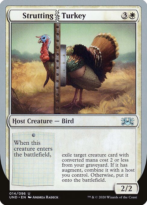 Strutting Turkey 14