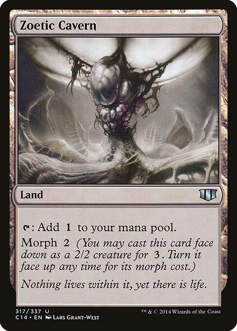 Zoetic Cavern 317
