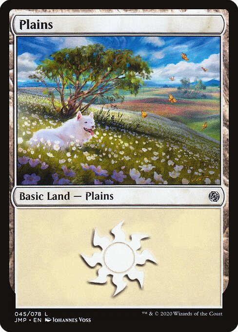 Plains 45