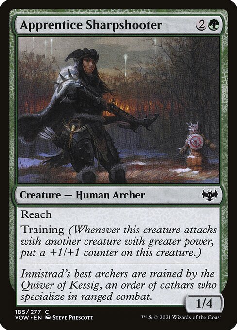 Apprentice Sharpshooter 185