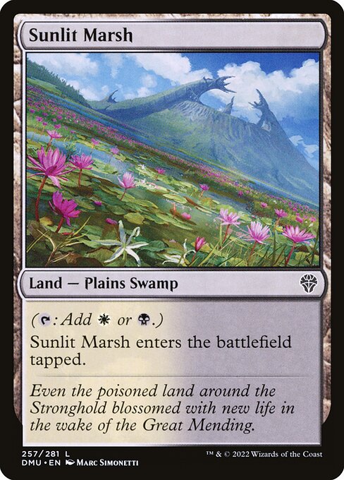 Sunlit Marsh 257