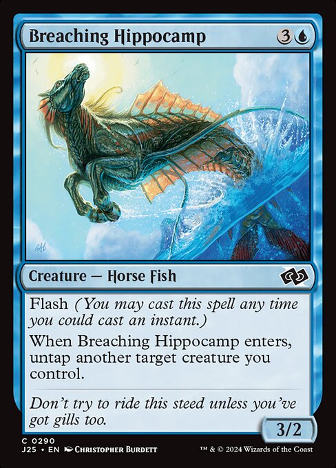 Breaching Hippocamp 290