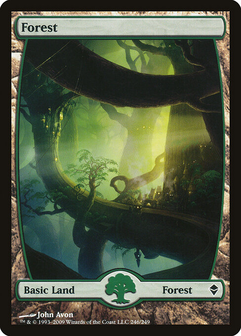 Forest 246