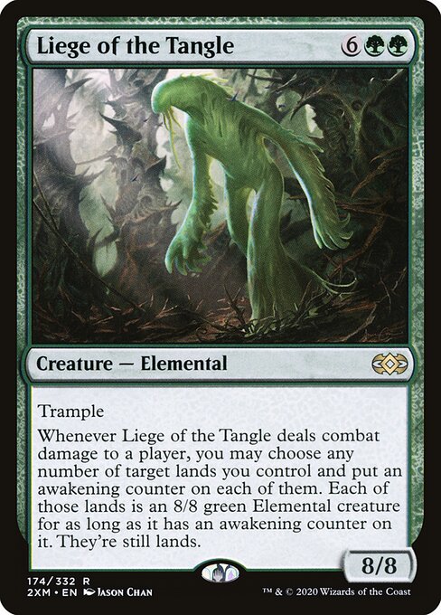 Liege of the Tangle 174