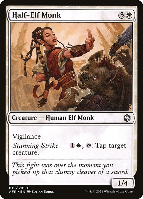 Half-Elf Monk 19