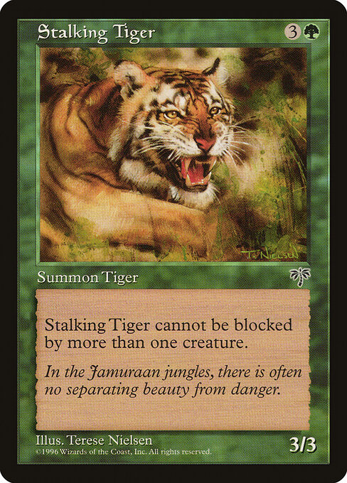Stalking Tiger 243
