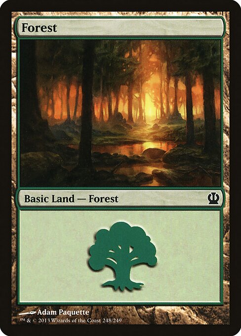 Forest 248