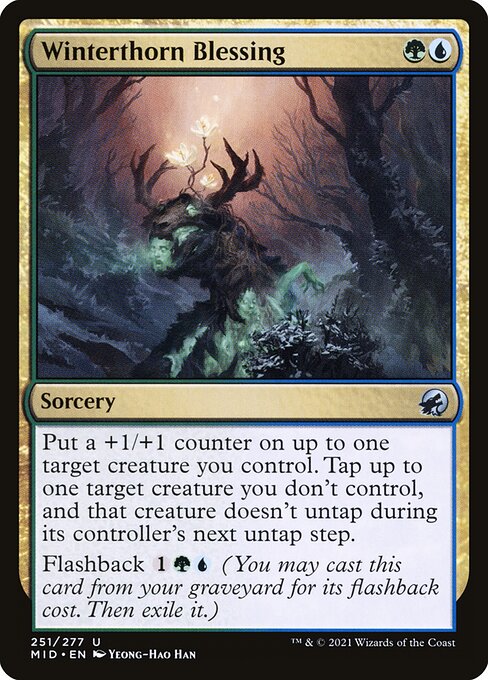 Winterthorn Blessing 251