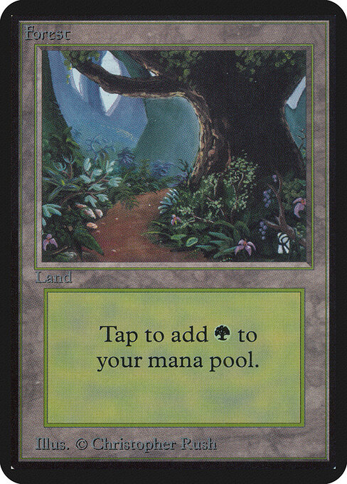 Forest 295