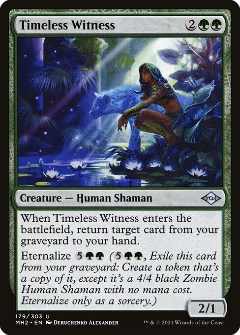 Timeless Witness 179