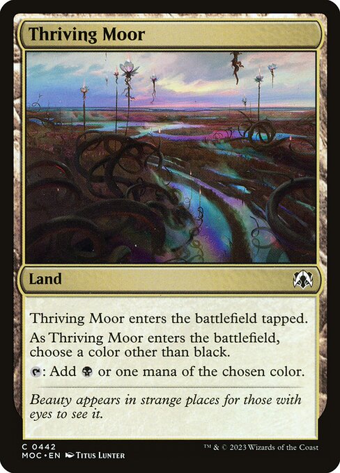 Thriving Moor 442