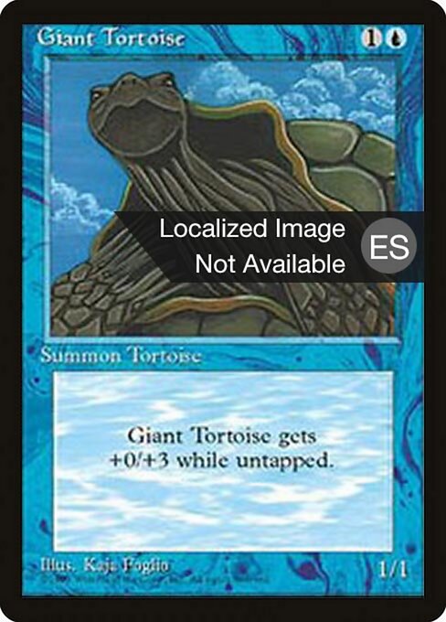 Giant Tortoise 76