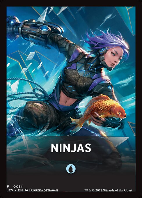 Ninjas 14