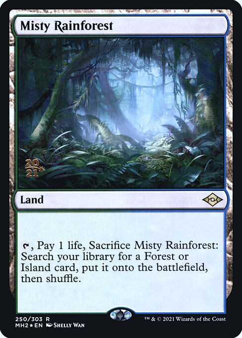 Misty Rainforest 250s