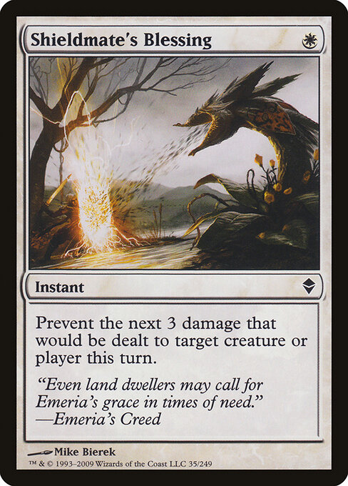 Shieldmate's Blessing 35
