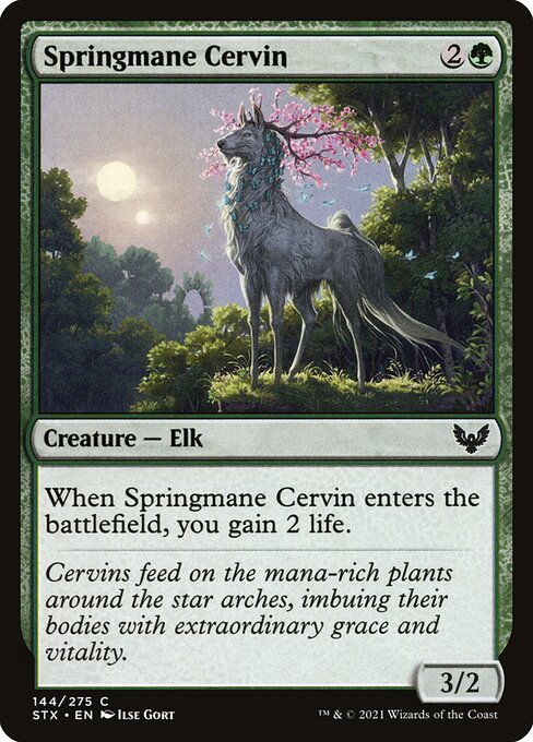 Springmane Cervin 144