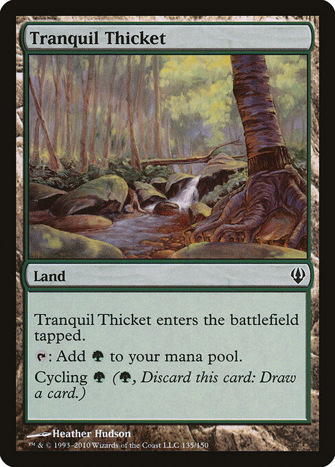 Tranquil Thicket 135