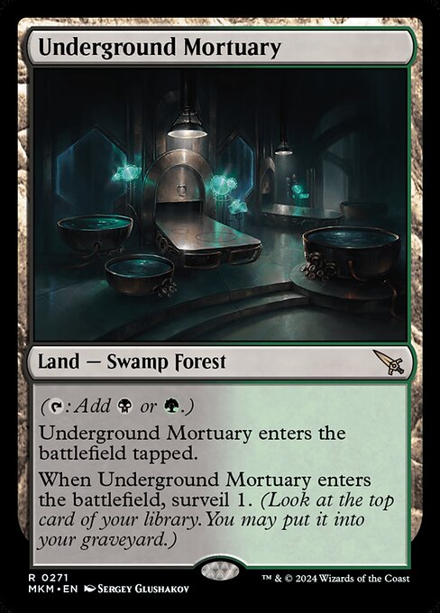 Underground Mortuary 271