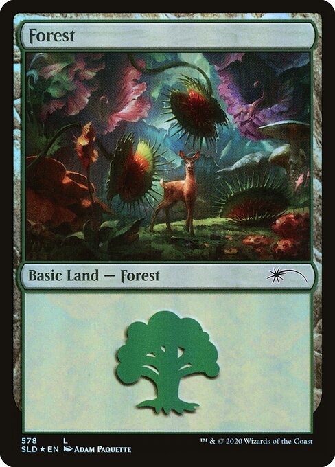 Forest 578