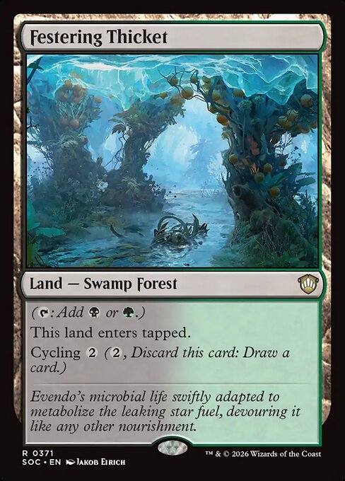 Festering Thicket 371