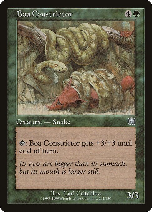 Boa Constrictor 231