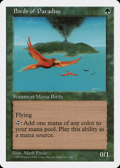 Birds of Paradise 280