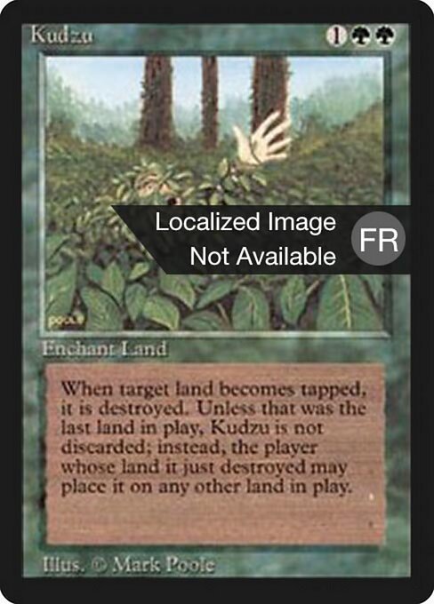 Kudzu 205