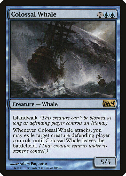 Colossal Whale 48