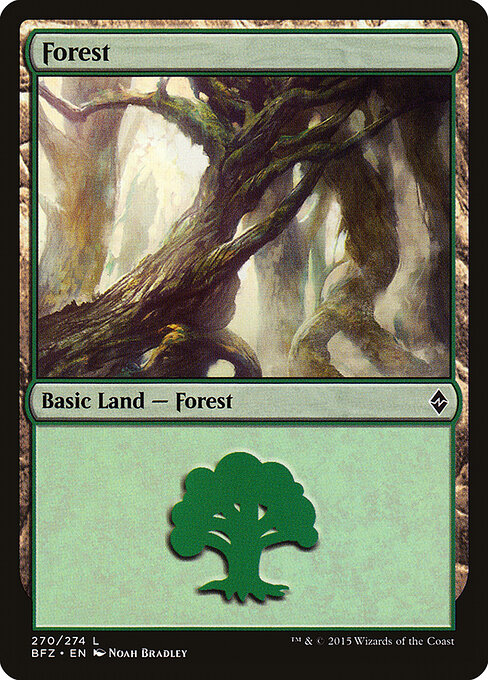 Forest 270a