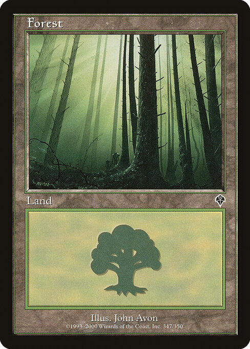 Forest 347