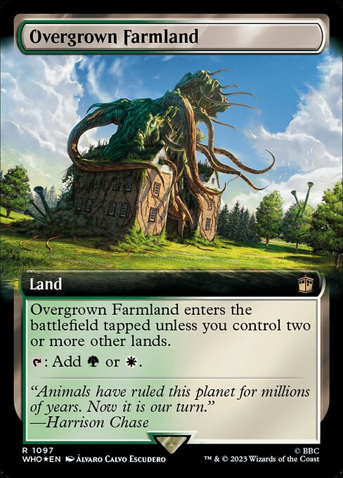 Overgrown Farmland 1097