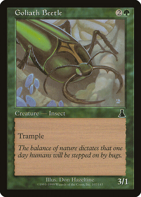 Goliath Beetle 107