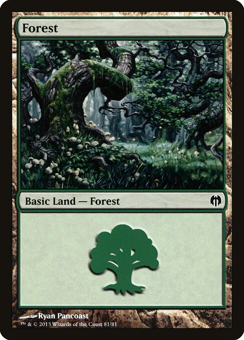 Forest 81