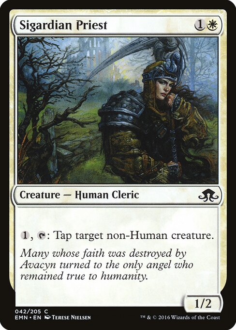 Sigardian Priest 42