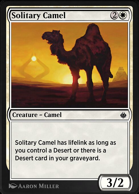 Solitary Camel 36