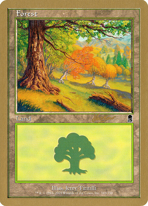 Forest shh349