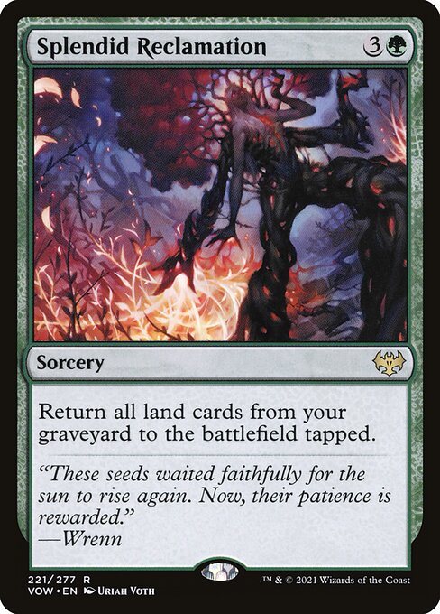 Splendid Reclamation 221