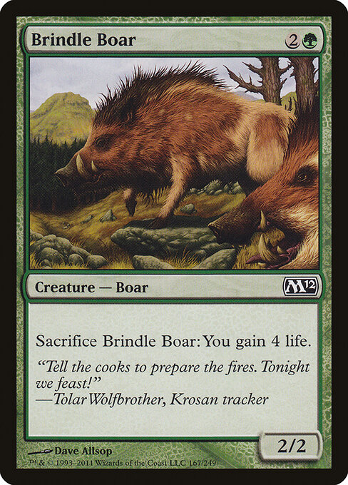 Brindle Boar 167