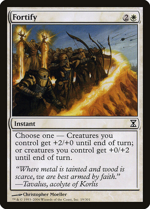 Fortify 19