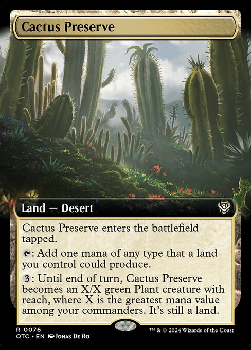 Cactus Preserve 76