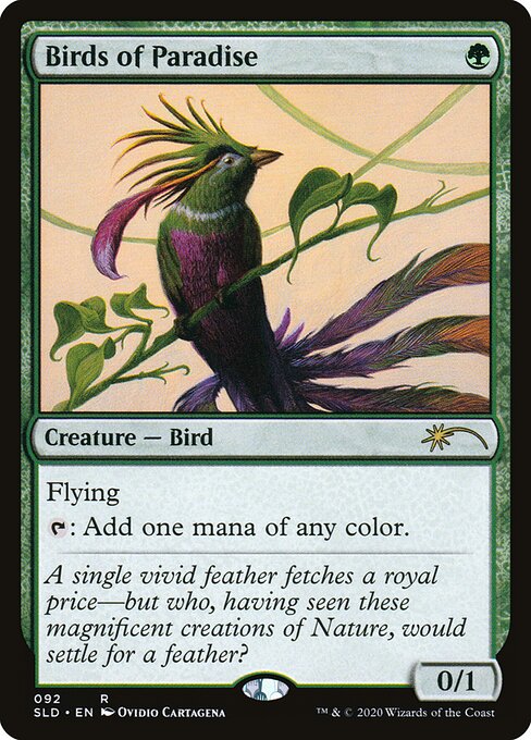 Birds of Paradise 92