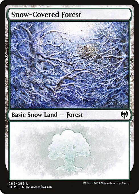 Snow-Covered Forest 285