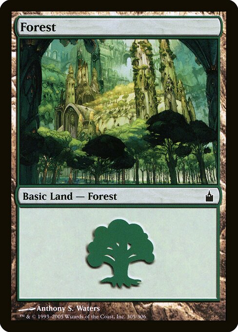 Forest 305