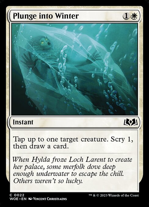 Plunge into Winter 22
