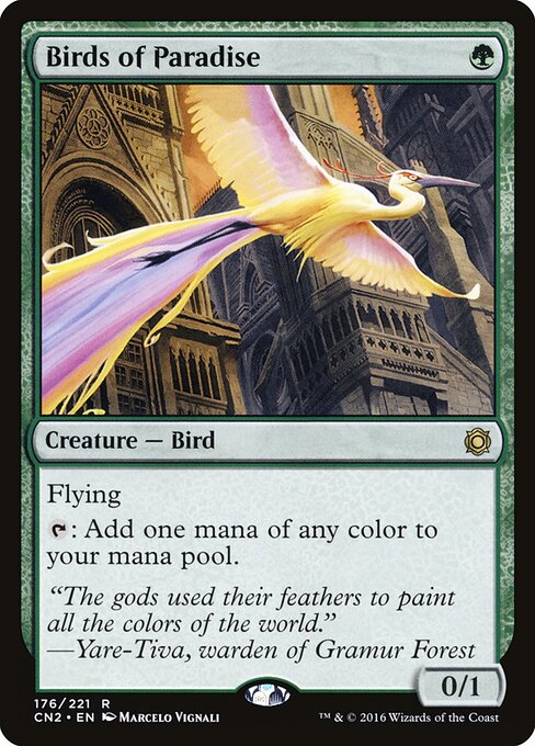 Birds of Paradise 176