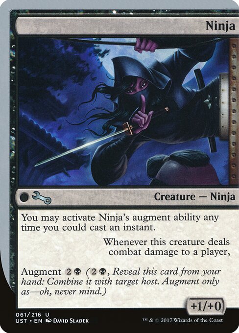 Ninja 61