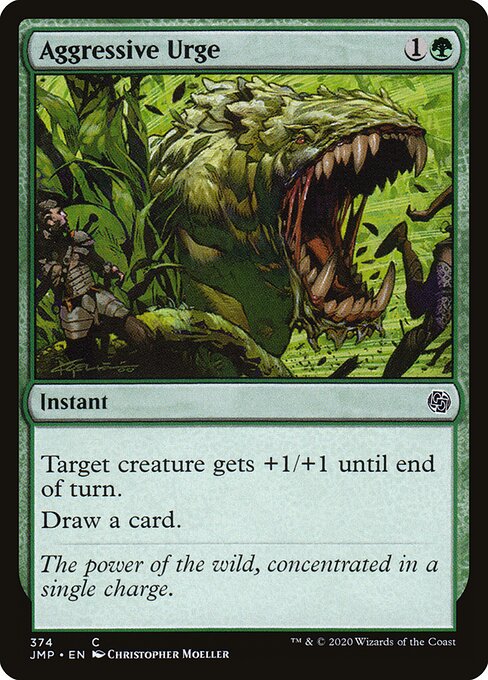 Aggressive Urge 374